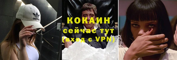 сатива Аркадак