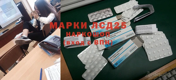 сатива Аркадак