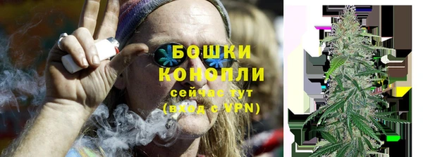 сатива Аркадак