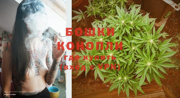 сатива Аркадак