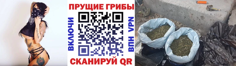 Псилоцибиновые грибы мицелий  это какой сайт  Татарск  даркнет сайт  кракен маркетплейс 